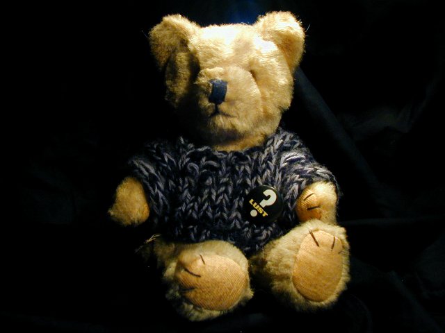 Teddy